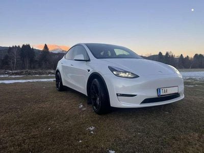 Weiß Gebraucht 2025 Tesla Model Y Long Range AWD SUV | € 45.999 (Etwas zu teuer)