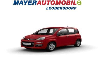 Neu Fiat Panda Icon 69 PS (50 kW) 2025 Rot Kleinwagen