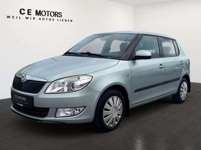Gebraucht Skoda Fabia Elegance 105 PS (77 kW) 2010 Grau Kleinwagen