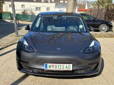 gebraucht Tesla Model 3 Model 3Standard Range RWD Plus 575kWh RWD Plus