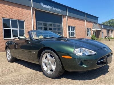 Dunkelgrün Gebraucht 1996 Jaguar XK Cabrio | € 8.900