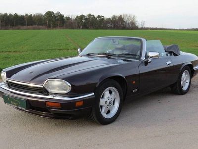 Jaguar XJS