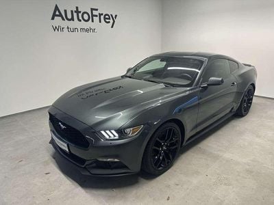 Grün Gebraucht 2014 Ford Mustang Coupé | € 28.500