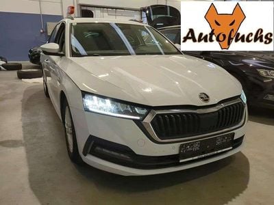 Weiß Gebraucht 2022 Skoda Octavia Ambiente Kombi | € 19.990 (Guter Preis)