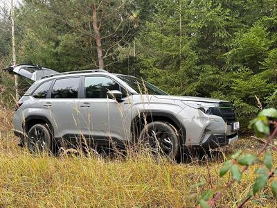 Grau Gebraucht 2025 Subaru Forester SUV | € 47.400