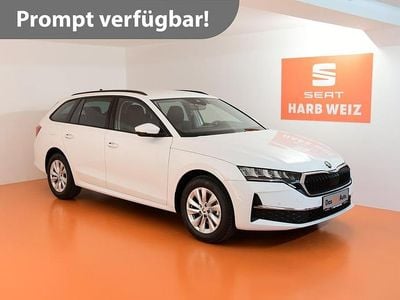 Weiß Gebraucht 2025 Skoda Octavia Selection Kombi | € 34.880 (Teuer)