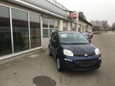 gebraucht Fiat Panda 1,2 70 Easy