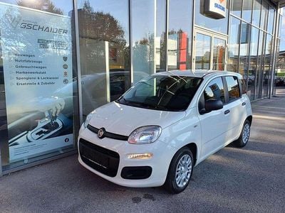 Weiß Neu 2025 Fiat Panda Kleinwagen | € 13.990 (Guter Preis)