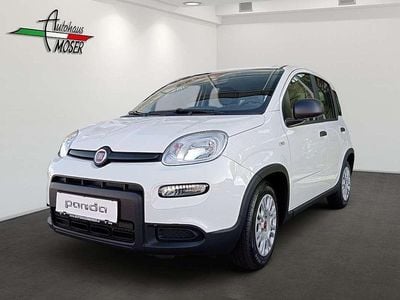Gebraucht Fiat Panda 69 PS (50 kW) 2024 Weiß Kleinwagen