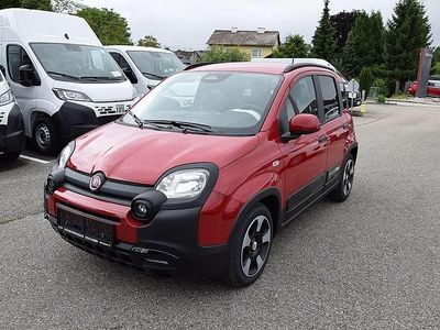 Neu Fiat Panda 69 PS (50 kW) 2025 Weiß Kleinwagen