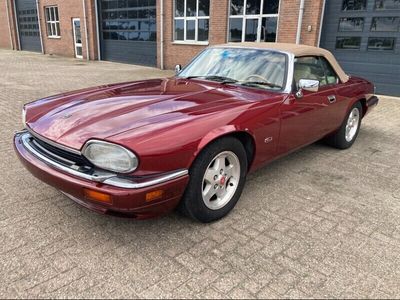 Rot Gebraucht 1994 Jaguar XJS Cabrio | € 9.800