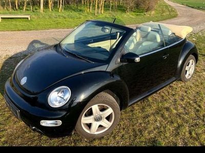 VW Beetle