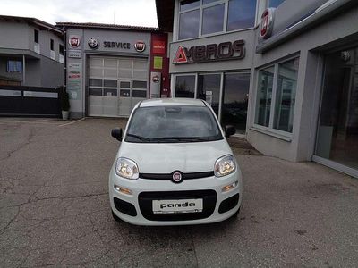 Weiß Gebraucht 2025 Fiat Panda Kleinwagen | € 15.980 (Fairer Preis)