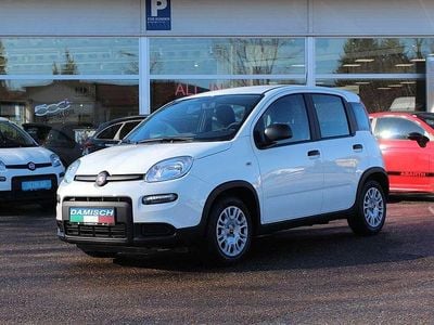 Weiß Neu 2025 Fiat Panda Pop Limousine | € 13.990 (Guter Preis)