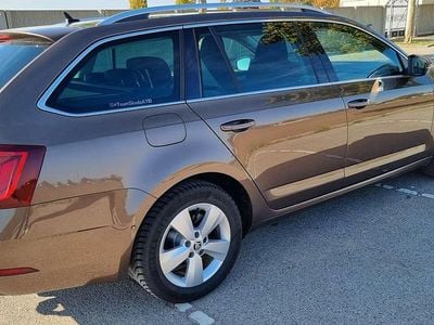 Braun Gebraucht 2019 Skoda Octavia Style Kombi | € 17.500 (Fairer Preis)