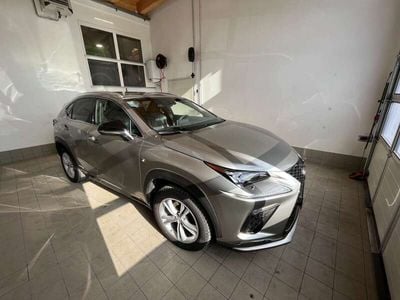 Grau Gebraucht 2019 Lexus NX300h Sport Line SUV | € 38.800