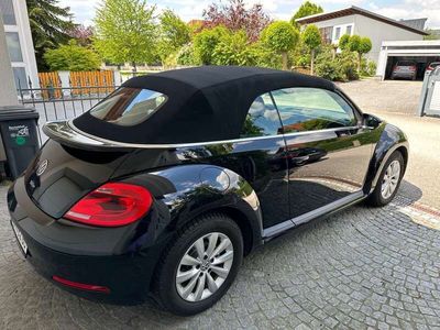 VW Beetle