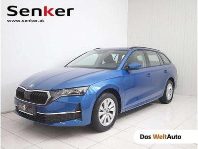 Mittelblau metallic Gebraucht 2025 Skoda Octavia Selection Kombi | € 33.400 (Etwas zu teuer)