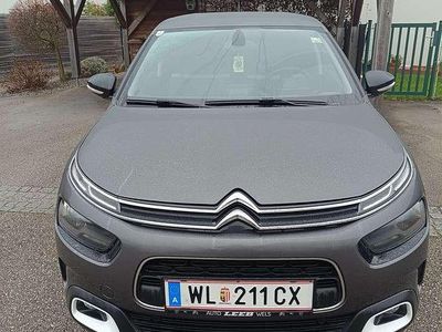 Gebraucht 2019 Citroën C4 PureTech Limousine | € 10.900 (Guter Preis)