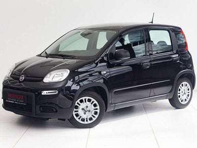 gebraucht Fiat Panda 4x2 FireFly Hybrid 70 Pandina
