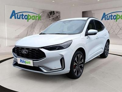 Weiß Gebraucht 2025 Ford Kuga ST-Line X SUV | € 44.790 (Teuer)