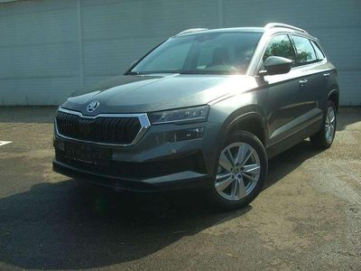 Grau Gebraucht 2024 Skoda Karoq Selection SUV | € 32.990 (Teuer)