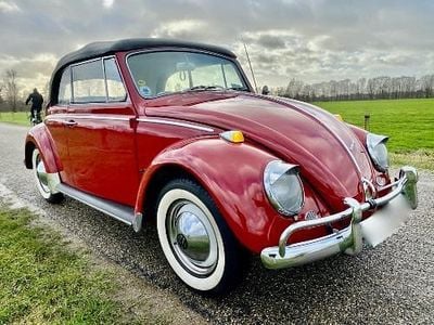 Rot Gebraucht 1965 VW Käfer Cabrio | € 49.500
