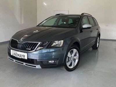 gebraucht Skoda Octavia Scout 4x4 2,0 TDI DSG