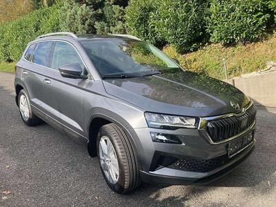 Grau Neu 2025 Skoda Karoq Selection SUV | € 41.900 (Guter Preis)