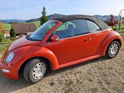 VW Beetle