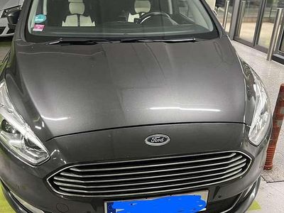gebraucht Ford Galaxy 2,0 EcoBlue SCR Titanium Aut.
