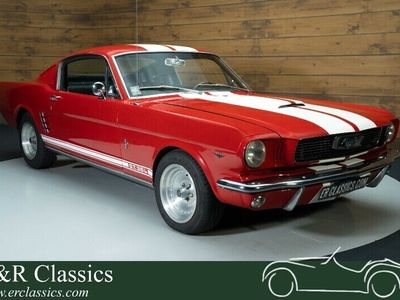 gebraucht Ford Mustang Fastback | 351 CUI Windsor V8-Motor | 1966