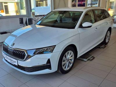 Weiß Neu 2025 Skoda Octavia Selection Kombi | € 38.750 (Etwas zu teuer)
