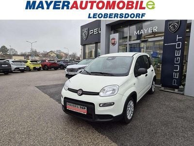 Weiß Gebraucht 2025 Fiat Panda Limousine | € 13.790 (Guter Preis)