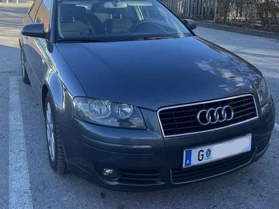 Gebraucht Audi A3 Ambition 105 PS (77 kW) 2003 Grau Kleinwagen