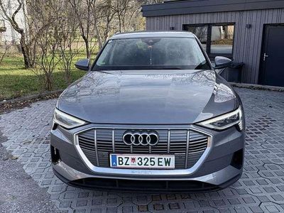 Grau Gebraucht 2022 Audi e-tron Business SUV | € 42.500 (Teuer)
