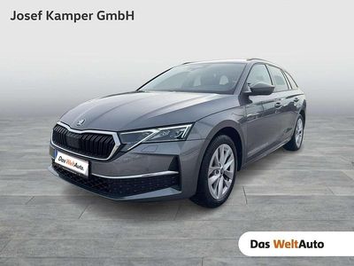 gebraucht Skoda Octavia Combi Selection TDI DSG