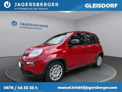 Gebraucht Fiat Panda 69 PS (50 kW) 2024 Rot Kleinwagen