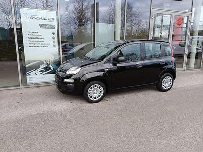 Schwarz Neu 2025 Fiat Panda Cross Limousine | € 14.990 (Fairer Preis)