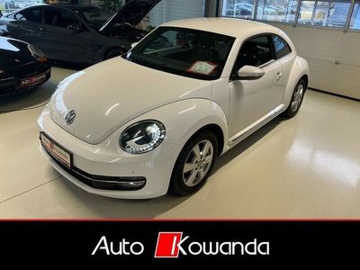 VW Beetle