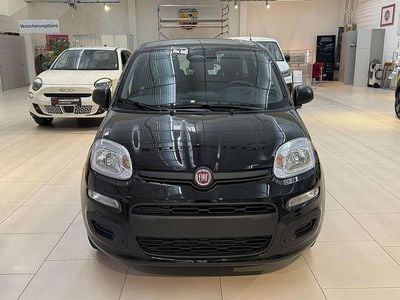 Neu Fiat Panda Icon 69 PS (50 kW) 2025 Limousine