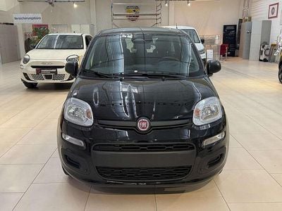 Neu 2025 Fiat Panda Icon Limousine | € 16.800 (Fairer Preis)