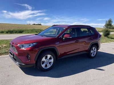 Rot Gebraucht 2019 Toyota RAV4 Active SUV | € 21.500 (Superpreis)