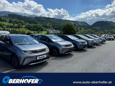 Grau Neu 2025 BYD Dolphin Comfort Kleinwagen | € 29.990 (Guter Preis)