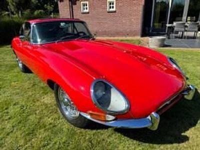 Rot Gebraucht 1963 Jaguar E-Type Coupé | € 124.000
