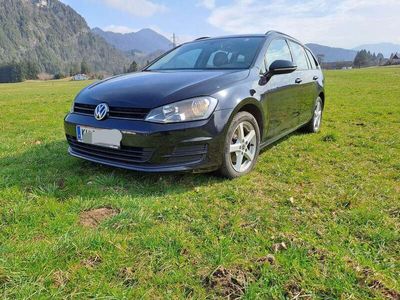 gebraucht VW Golf VII 