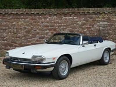 Gebraucht Jaguar XJS 281 PS (206 kW) 1988 Weiß Cabrio