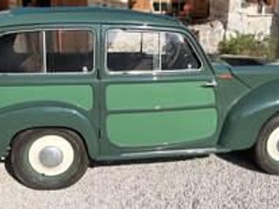 Grün Gebraucht 1953 Fiat Belvedere Kombi | € 12.500