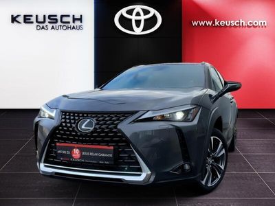 gebraucht Lexus UX 250h Style Edition SUV