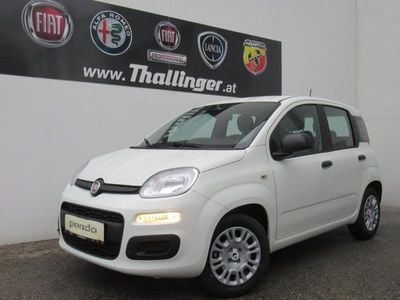 Weiß Neu 2025 Fiat Panda Icon Kleinwagen | € 16.805 (Fairer Preis)